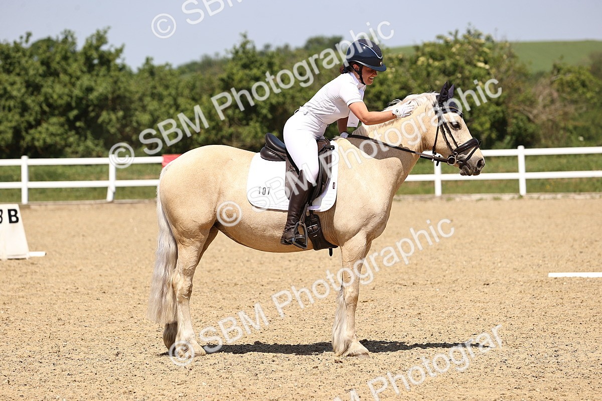 SBM_009082
