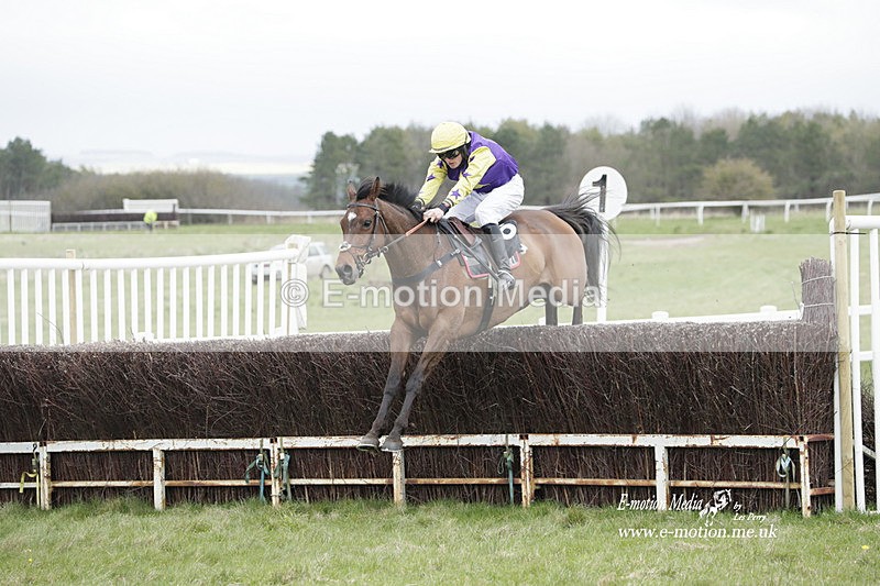 PtP 260323 0850 - New Forest Hounds Point-to-Point Larkhill 26/03/23