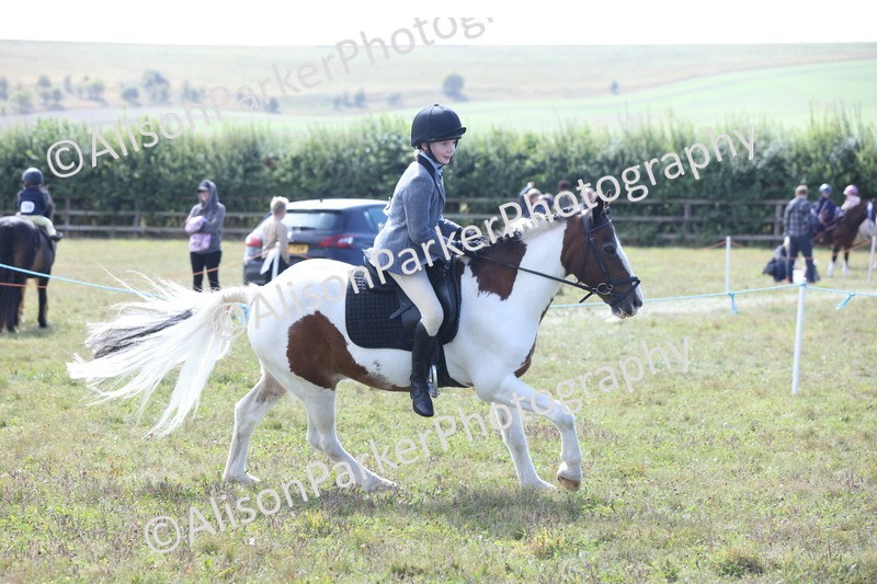 20250831-2476 - Class 16 - Family Pony