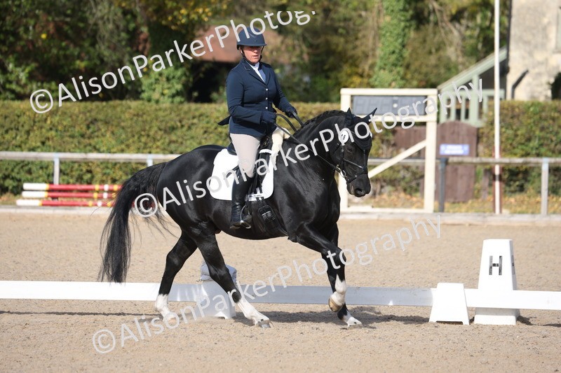 20261010-0611 - Class 5 - Novice 1