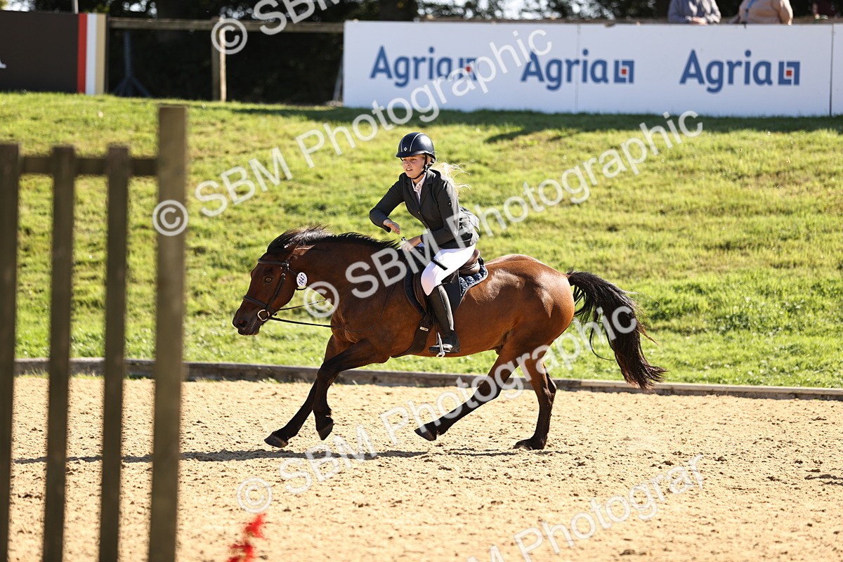 SBM_38464 - J39 - Senior 85cm Championship