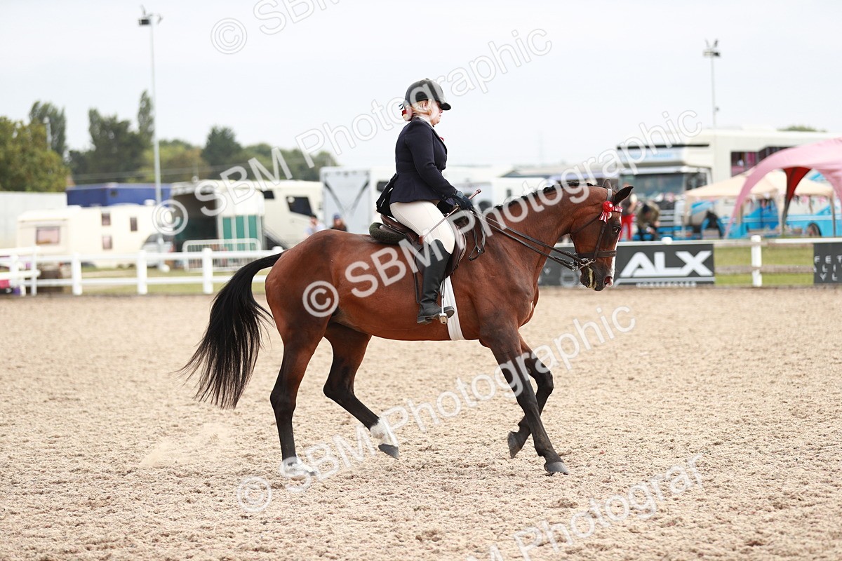 SBM_17602 - Class 215 Ridden Hack/ Riding Horse