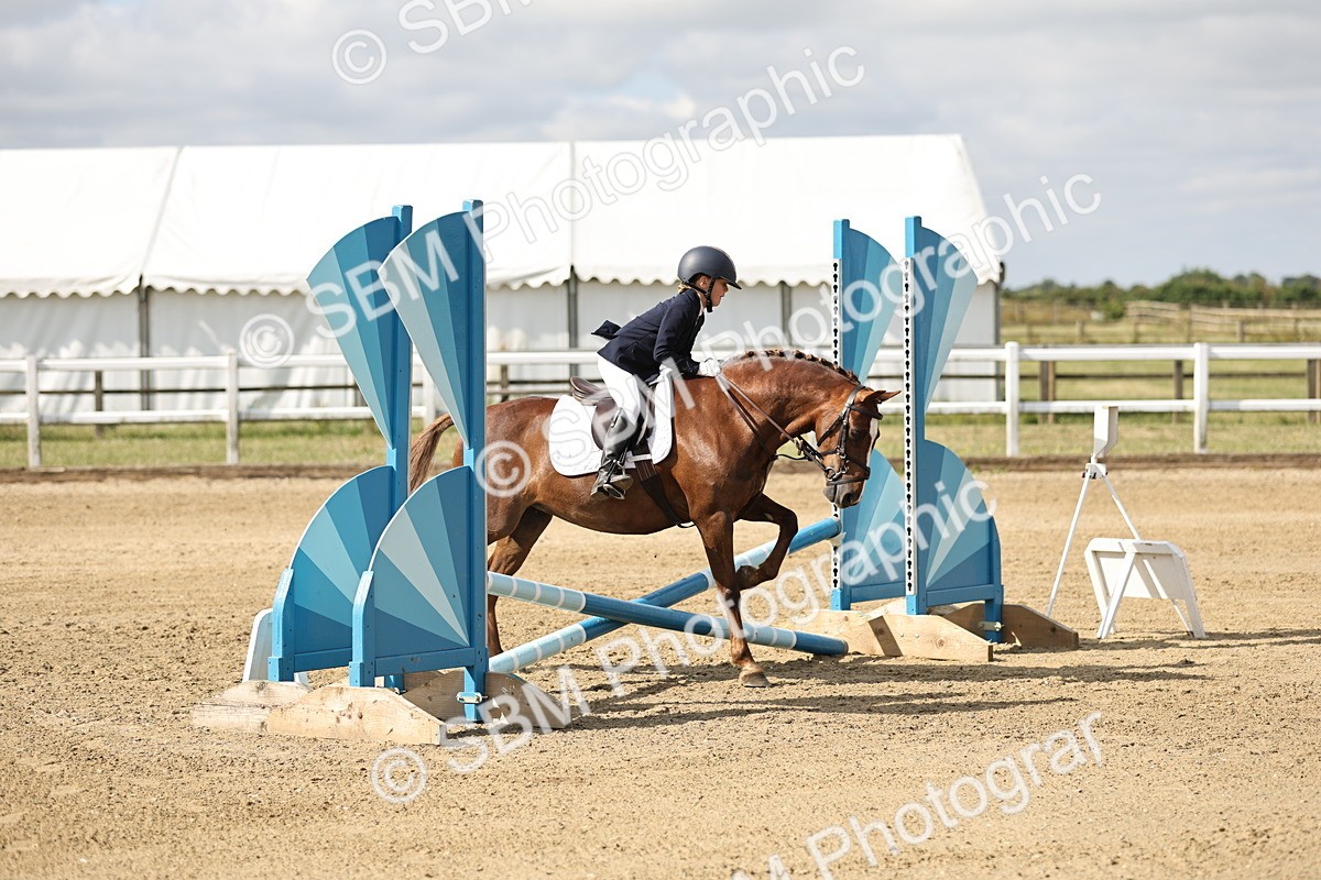 SBM_003270 - 40cm showjumping