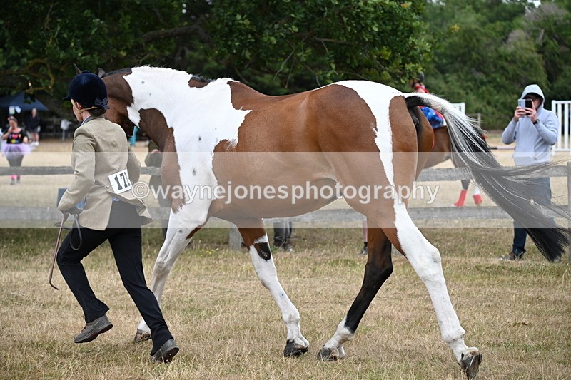 WJ6_8155 - Class 10 Coloured in Hand