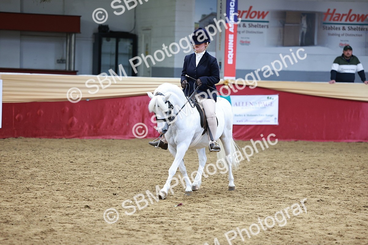 SBM_18663 - Class 952 - M&M Ridden Supreme Final