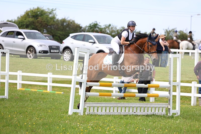 3E7A1863 - Class 13: Senior British Novice/90cm open