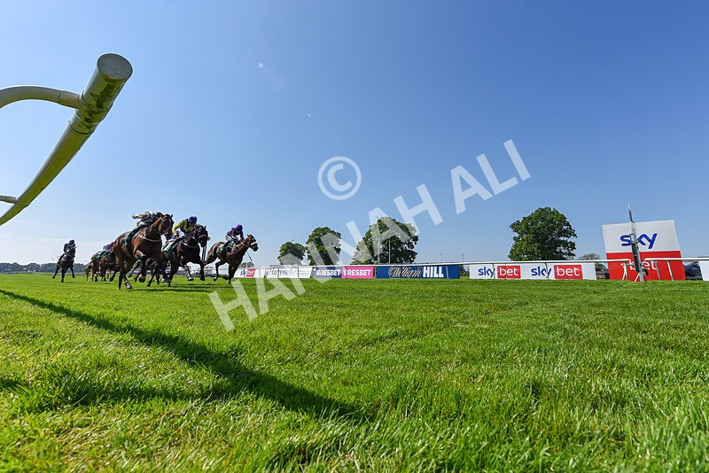 180524-Race 3-Burning Cash-6531 - Race 3