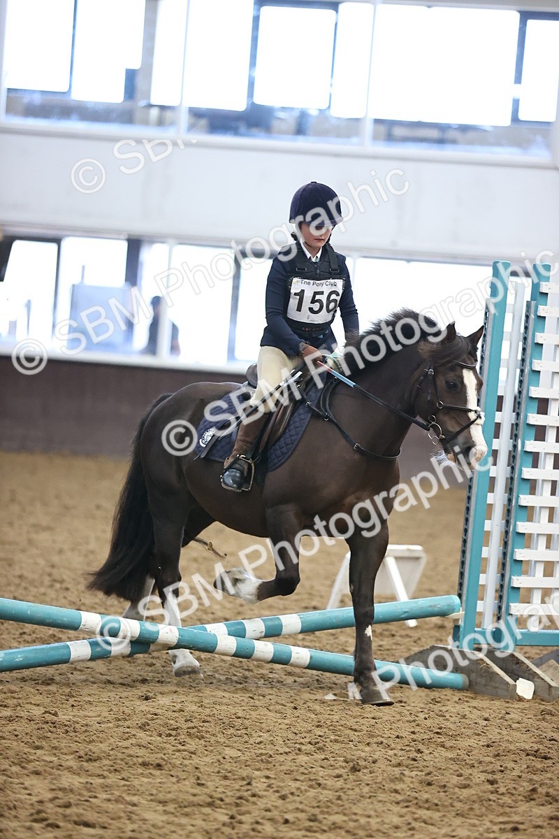 SBM_000230 - Class 2 - The Rug Lady 40cm Area 12 Championship Qualifier