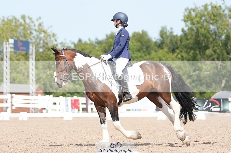 250817-122557-09314 - 050-Mollie.SheathTouch.Wood