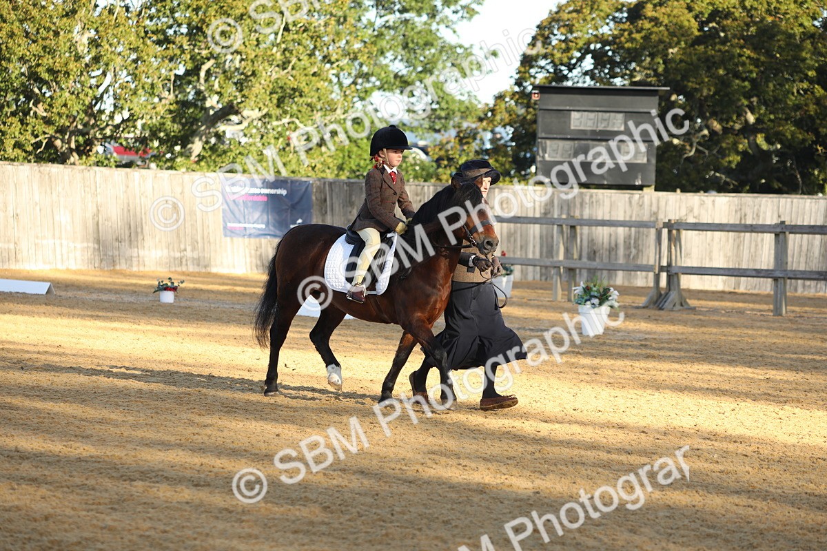 SBM_33662 - D26 - Starers - Lead Rein