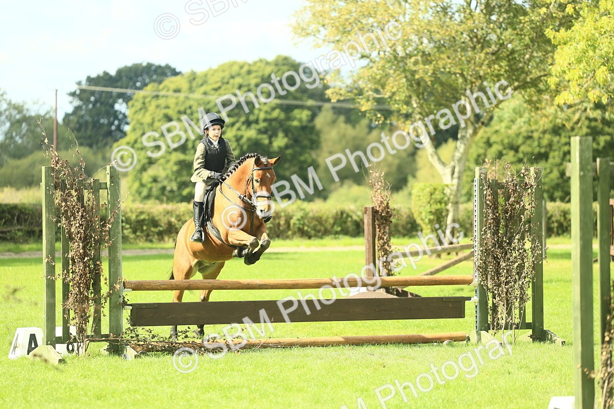 SBM_44616 - S31 - Working Hunter Pony