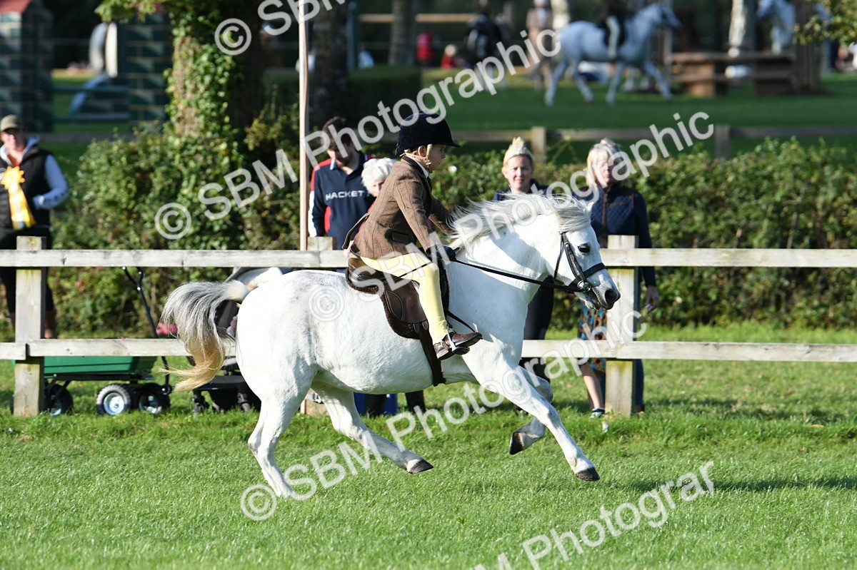 SBM_54038 - S23 - 1st Ridden Mountain & Moorland Pony