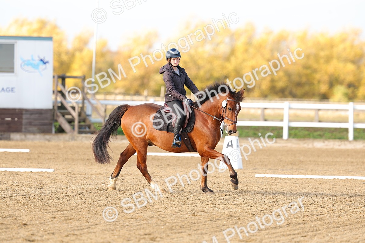 SBM_001214 - Class 13-4-9 - DR P3 CT P3 70cm CT PYO