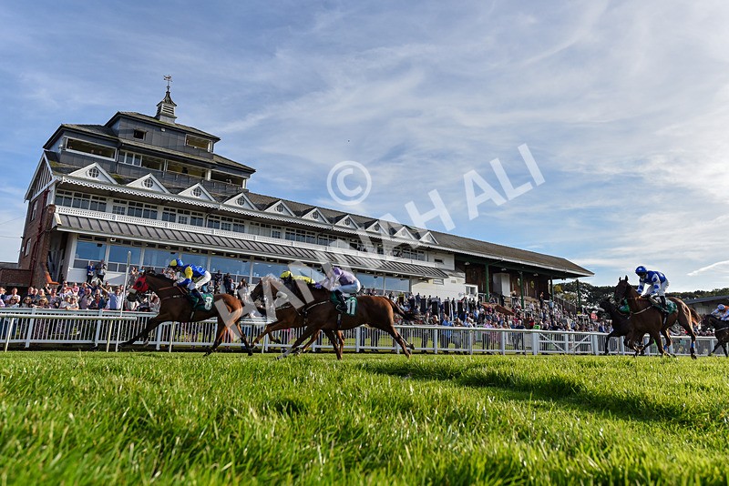 160924-Race 8-Sparkling Red-6948 - Race 8