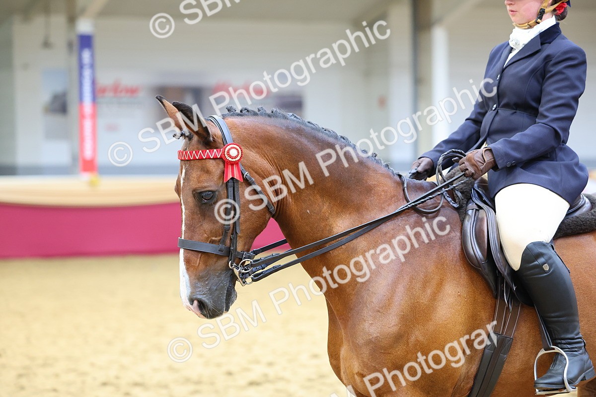 SBM_23752 - Class 904 - Supreme Final Ridden Diamond