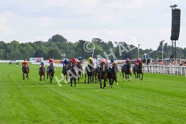 260724-Race 3-Elsies Ruan-4842 - Race 3 6.40pm Ire-Incentive, It Pays To Buy Irish EBF Restricted Novice Stakes