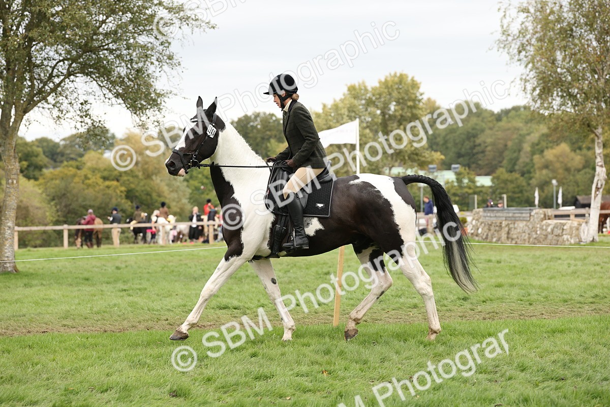 SBM_67252 - S67 - Piebald & Skewbald Horse Ridden