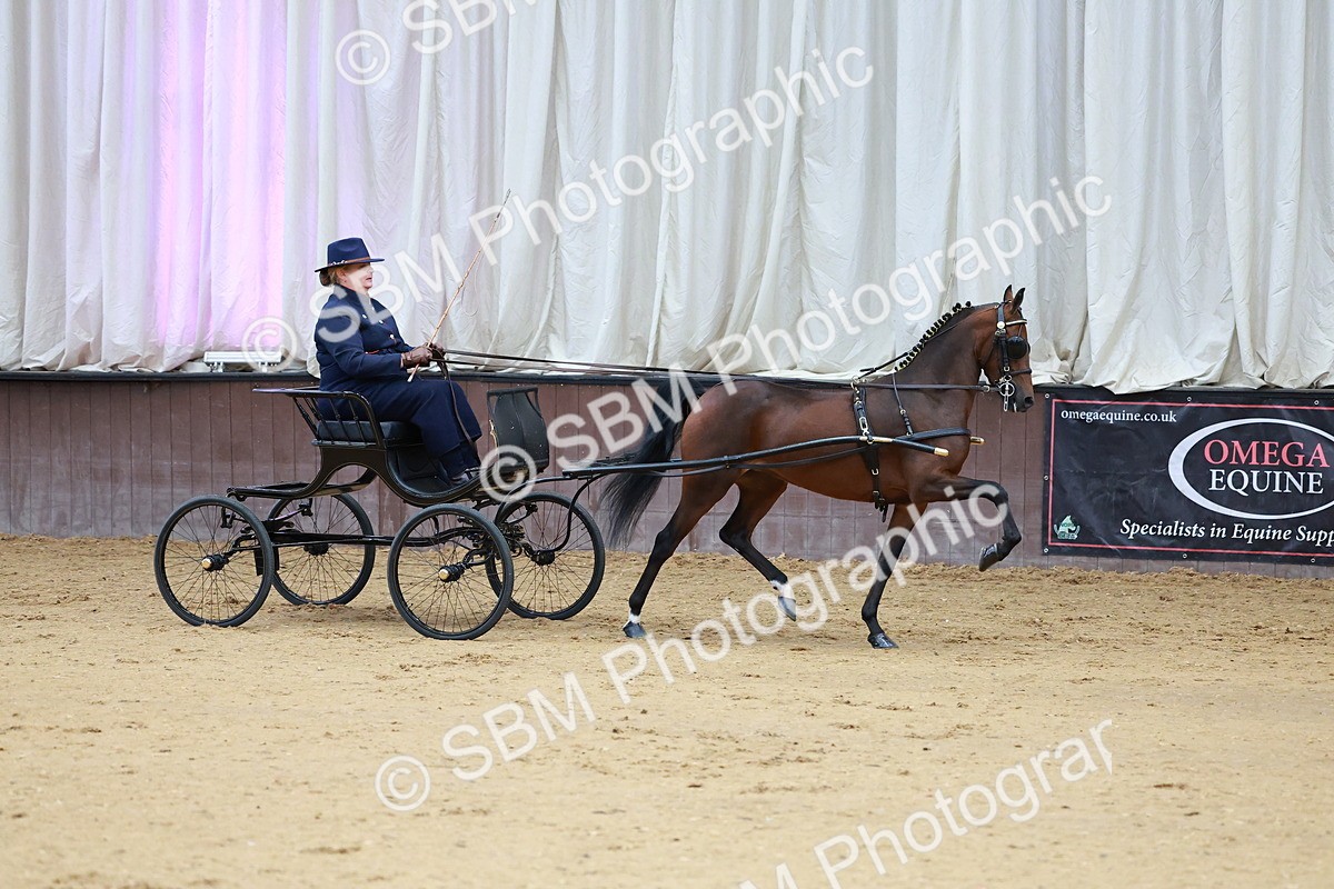 SBM_000608 - Class 9 - HHS Championship Intl Hackney Pony to a Showwagon