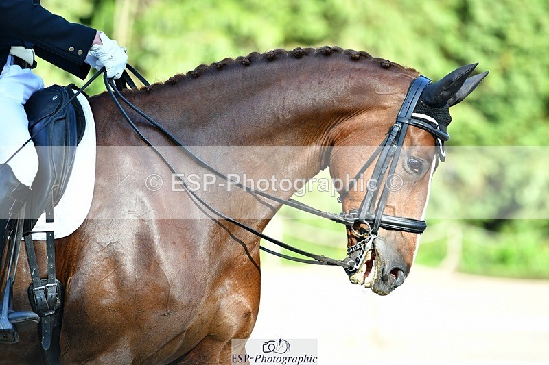 230623-184701-03336 - Cls 11 FEI PSG