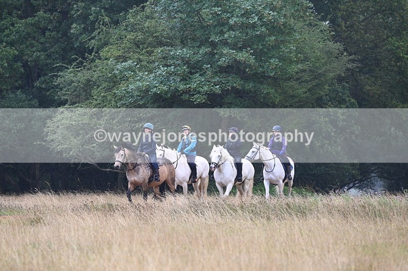 DSC_0877 - Time at Statue 10:58 to 11:53