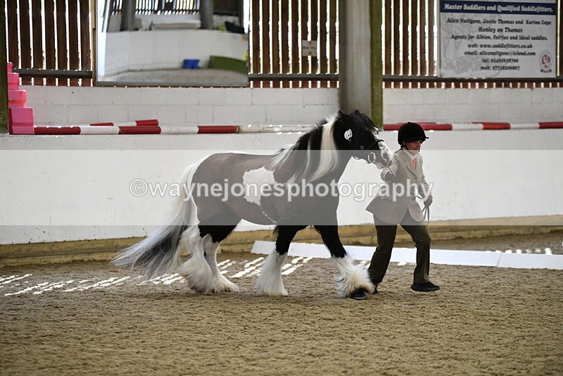 WJ5_5024 - Class 7 In hand coloured / odd coloured