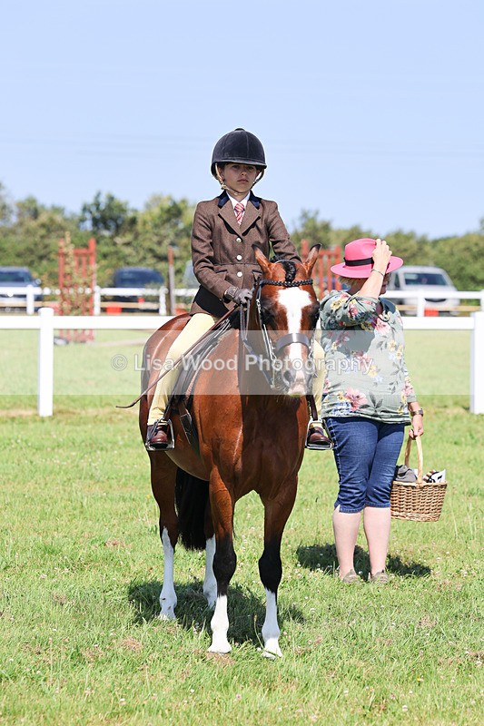 IMG_2053 - Class 34: Show Hunter Pony 153cm and under