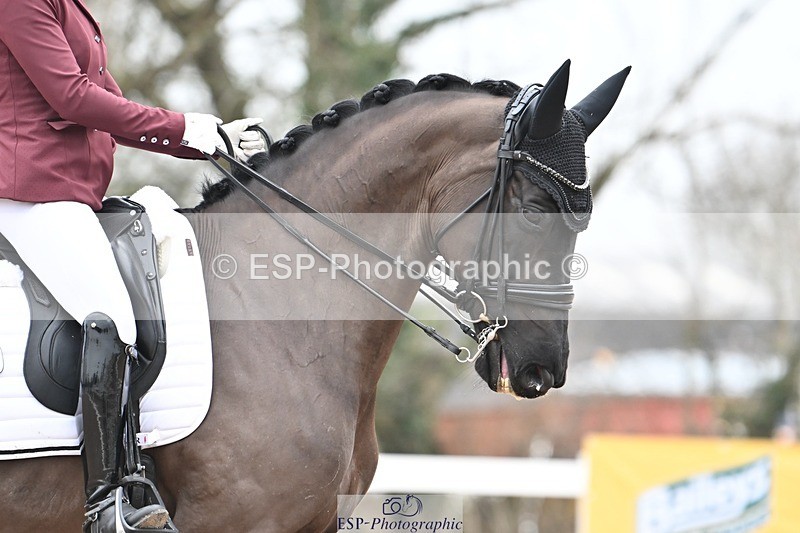 250216-113018-05106 - 184-Lucy.Palmer-La.Vida.loca