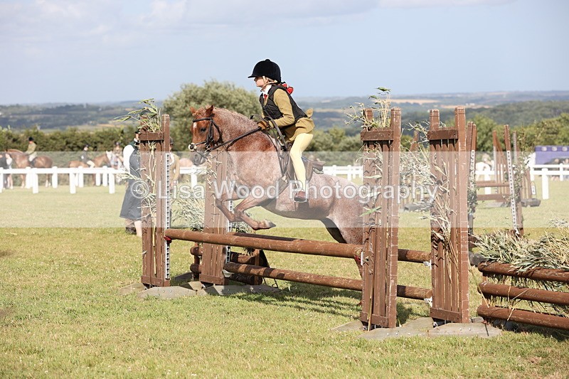 JPP_2823 - Class 20: Working Hunter 70cm