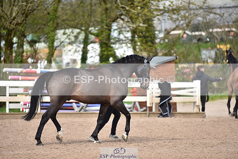 240417A-154152-00961 - 3pm to 4pm