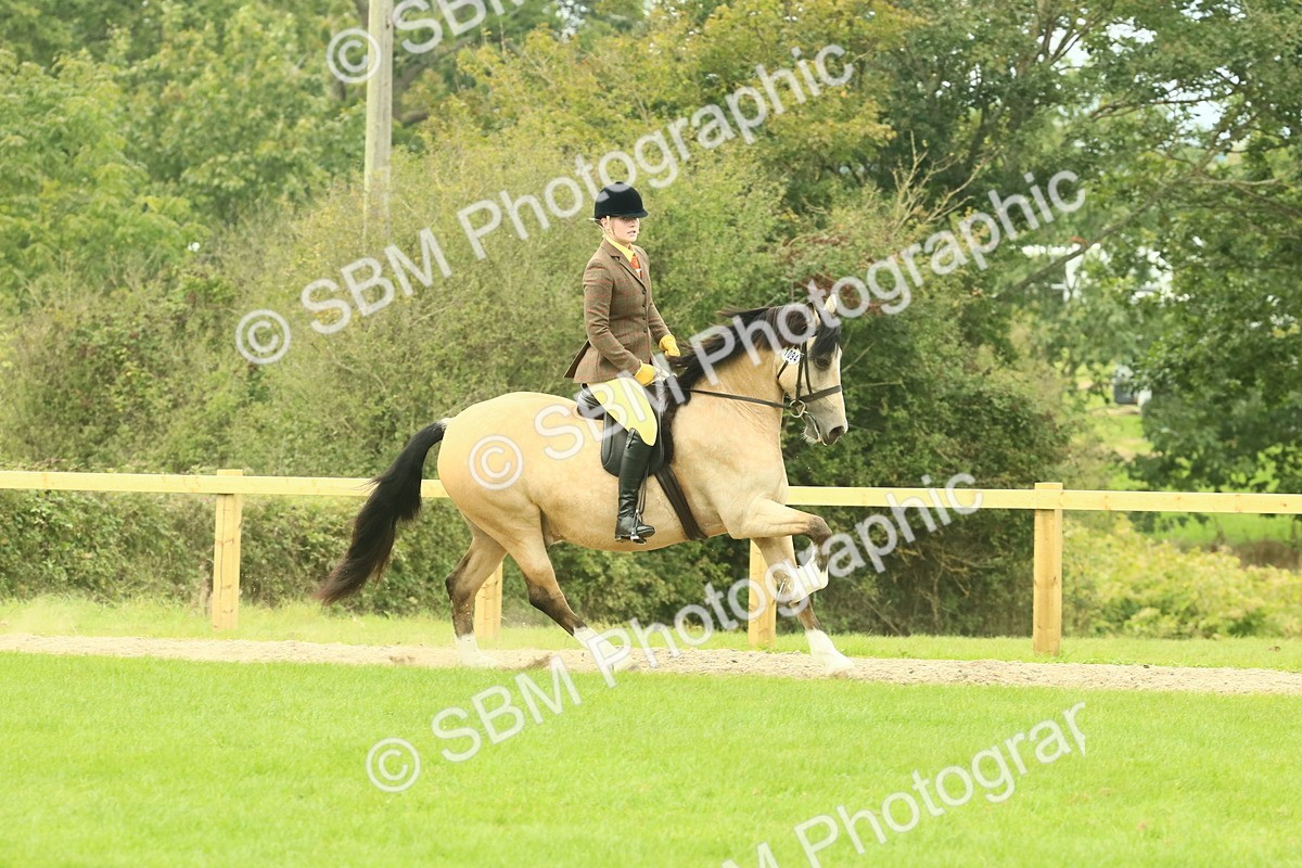 SBM_71882 - S60 - Mountain & Moorland Ridden Large Breeds