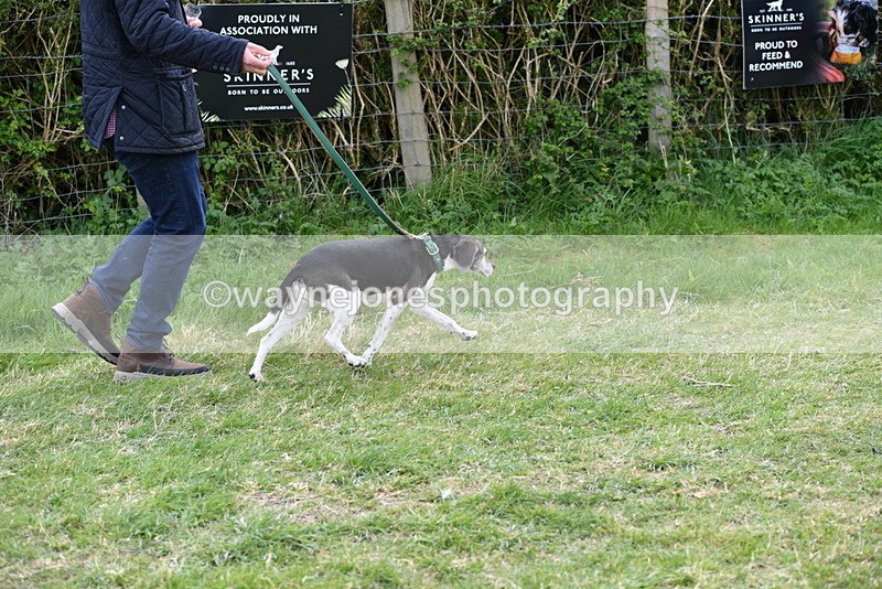 WJ5_0068 - Class 5 Best Veteran / 7 years & over