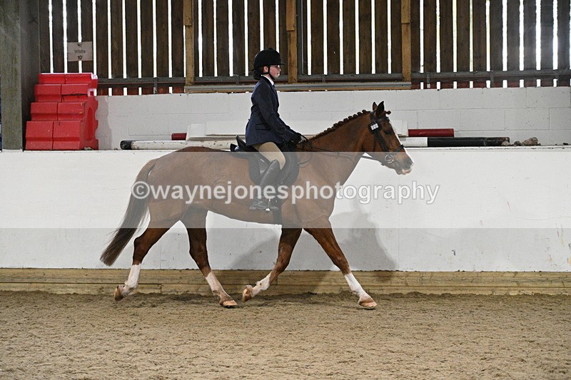 WJ7_4111 - Class 17 Ridden Cob