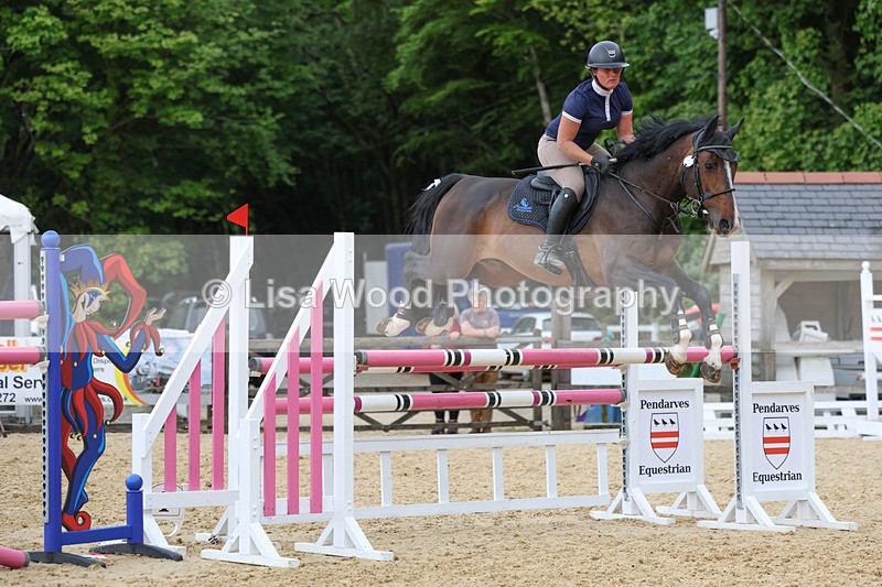 3E7A7909 - Class 8: Senior Foxhunter/1.20 open