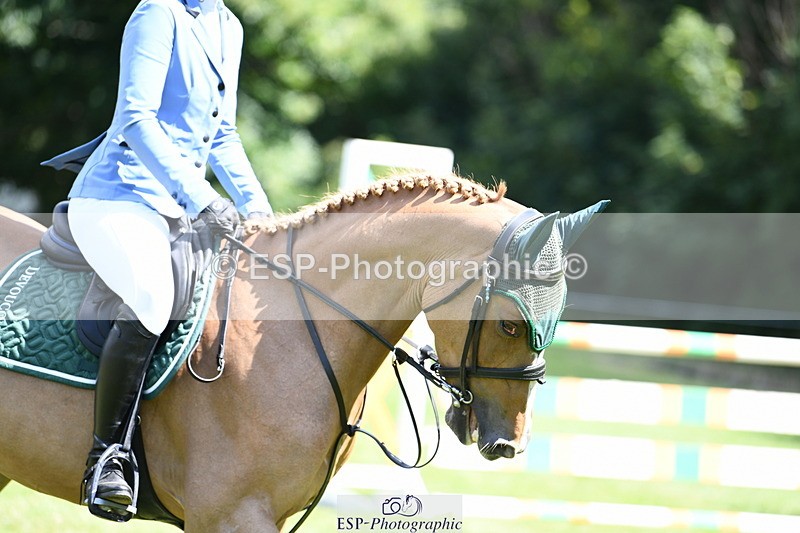 250703A-110953-00633 - Cls 11 5 Year Old