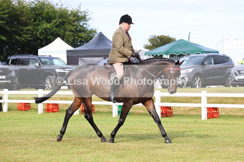 3E7A7980 - Class 2: Rising Star Large Hack/Riding Horse