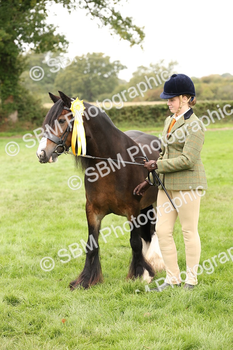SBM_59364 - S57 - Traditional Cob In Hand