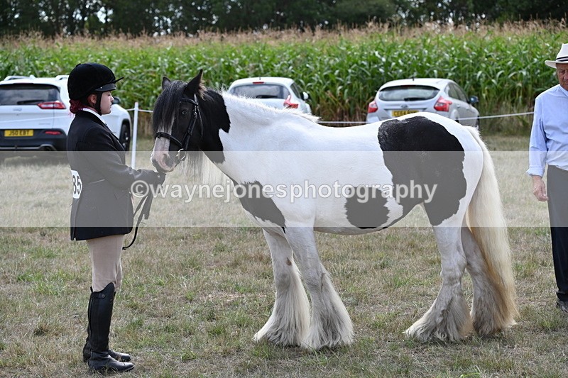 WJ6_6644 - Class 20 In-hand Cob