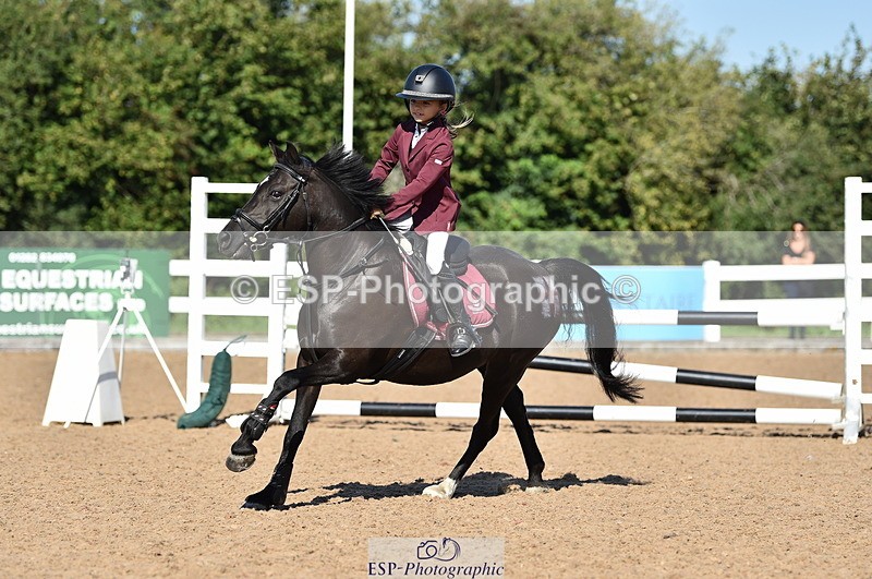 230903A-103008-03985 - Cls 18 Pony Brit Novice & 80cm Open