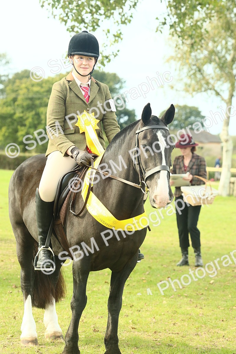 SBM_69395 - S58 - Mini Show Cob Ridden