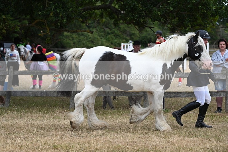 WJ6_8346 - Class 10 Coloured in Hand