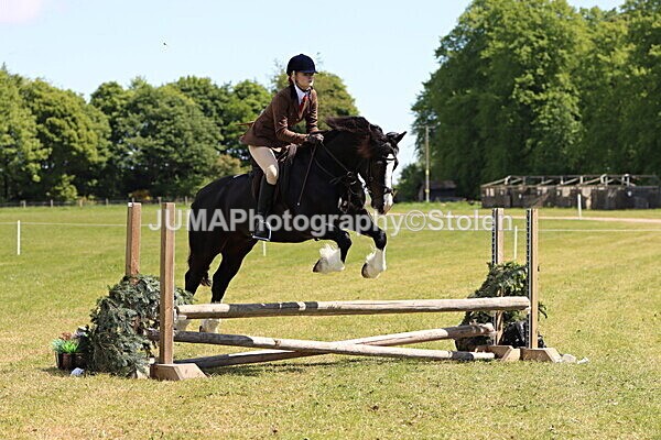 IMG_3685 - Working Hunter