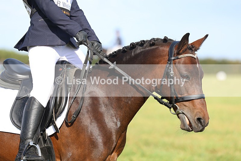 3E7A5940 - Class 1: Trebudannon Open: Dressage (Part 2)