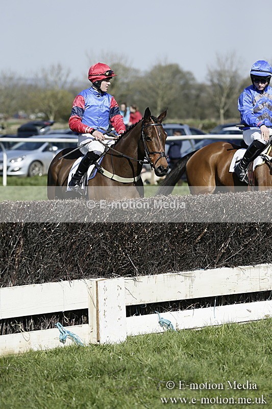 PtP 260317 157 - Mendip Farmers Point-to-Point Ston Easton 26/03/17