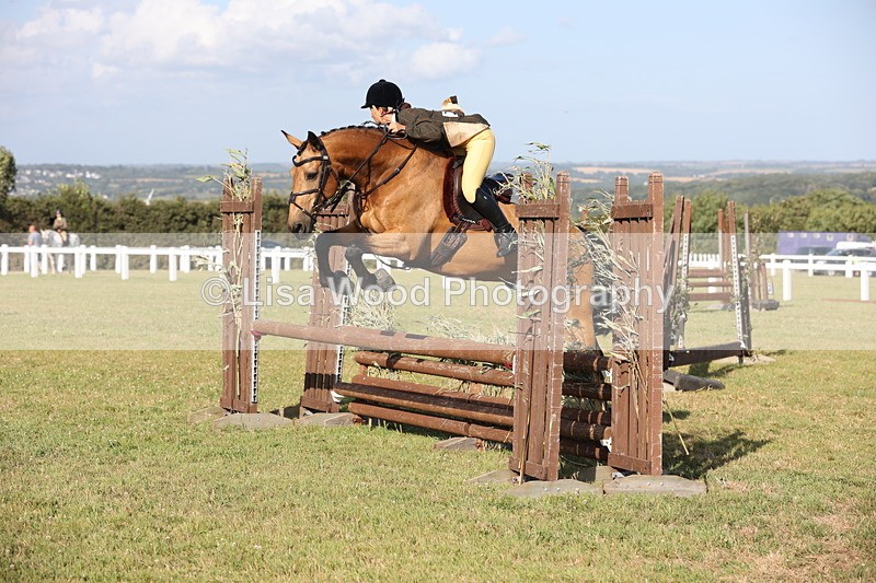 JPP_3187 - Class 21: Working Hunter 80cm