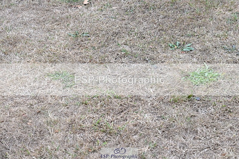 250820A-181200-12600 - Wednesday Presentations