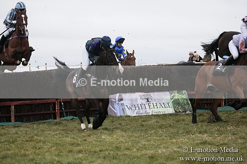 PtP 180218 116 - Combined Services Point-to-Point Larkhill 18/02/18