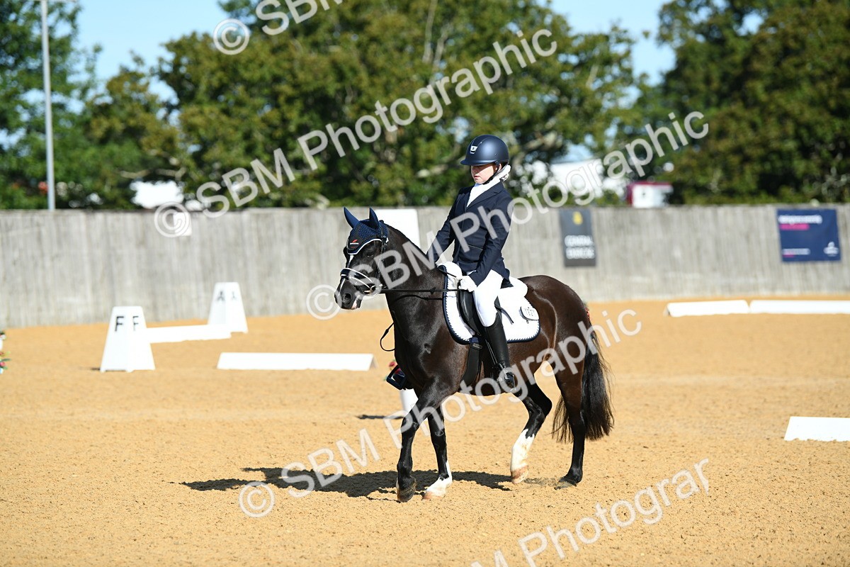 SBM_16311 - D4 - Small Tour Championship - Intro B