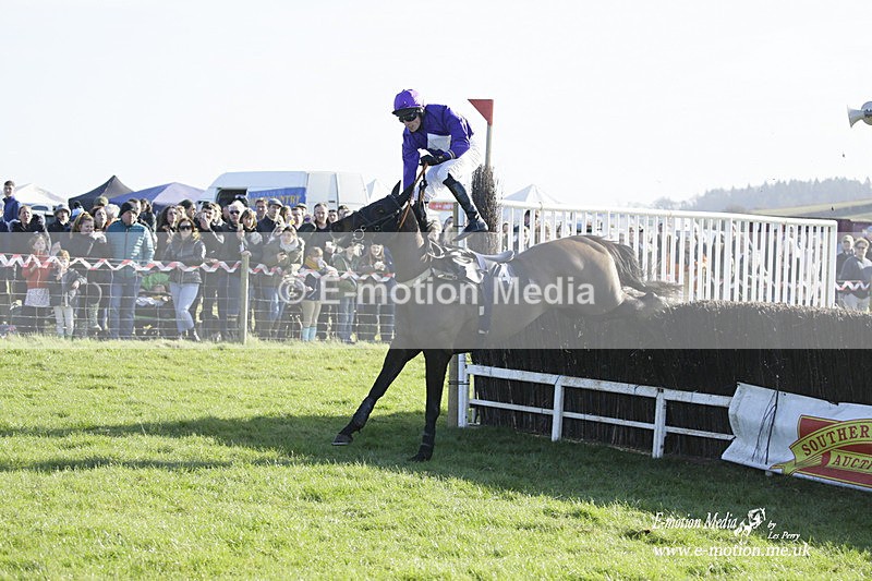 PtP 300122 131 - South Dorset Hunt - Point-to-Point Races 30/01/2022