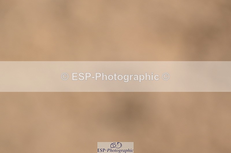 240323A-114008-01636 - DR Prelim 18