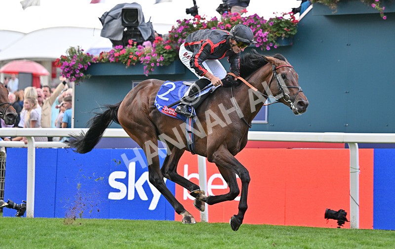 190826-086 Maltese Cross - Race 3 15.00pm Sky Bet Great Voltigeur Stakes